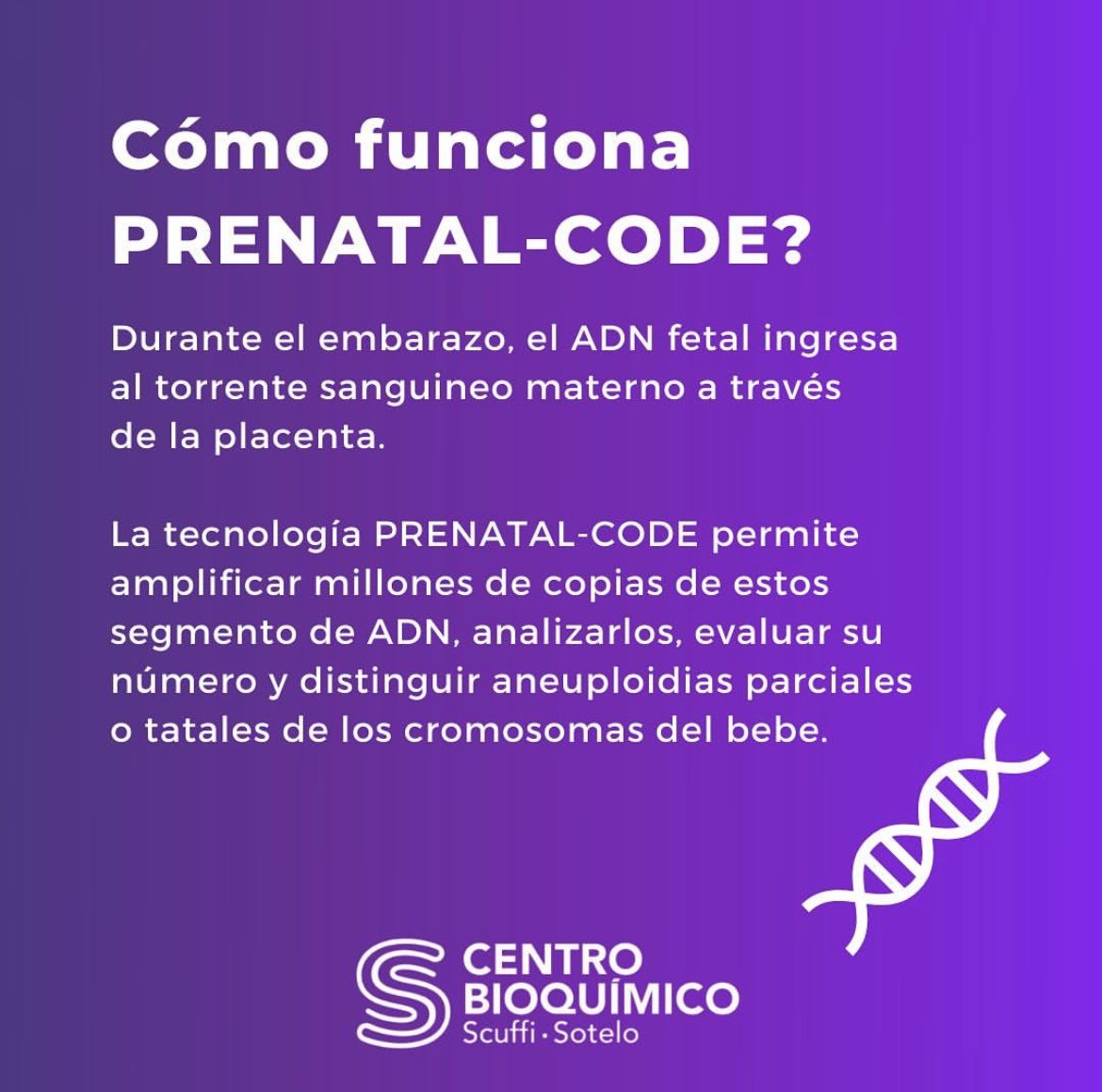 78015349 3412 4eff a421 059248de81f9.jpg